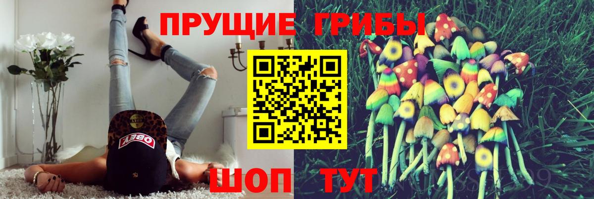 Псилоцибиновые грибы мухоморы  Вход с VPN  цены   Дивногорск 